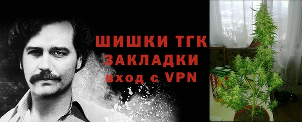 амф Козловка