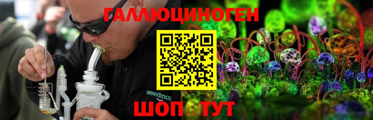 Псилоцибиновые грибы Psilocybine cubensis  закладка  Шахты 