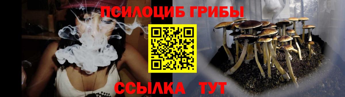 Шахты  Псилоцибиновые грибы Cubensis  Вход с VPN 
